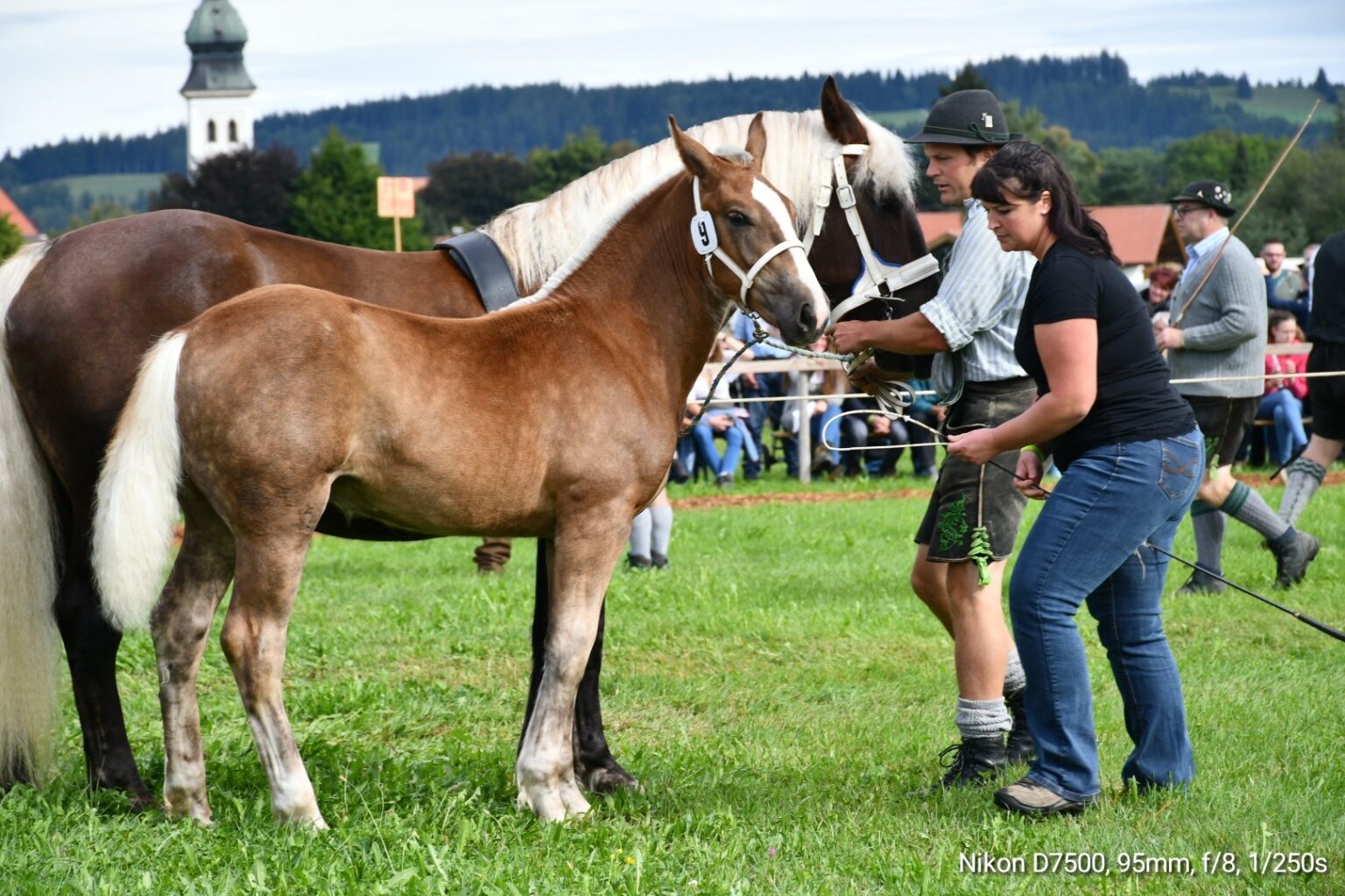 DSC 1792 2 Kopie