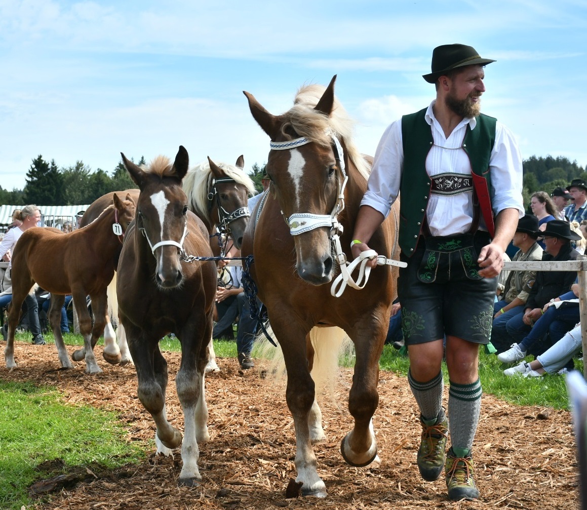 DSC 2134 2 Kopie