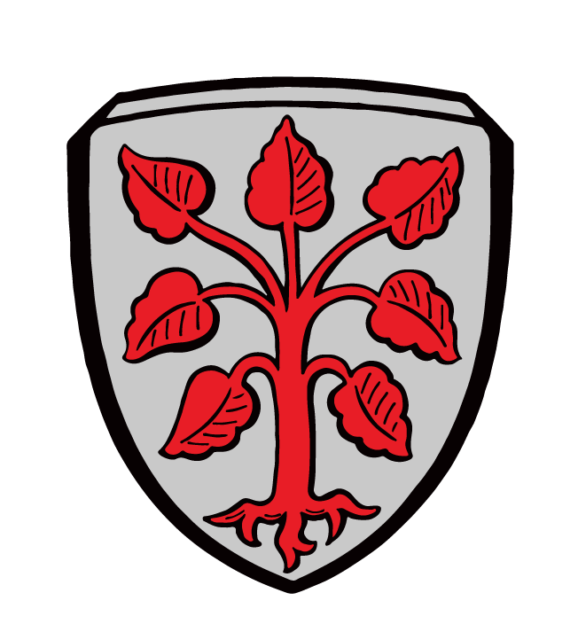 wappen rottenbuch silber