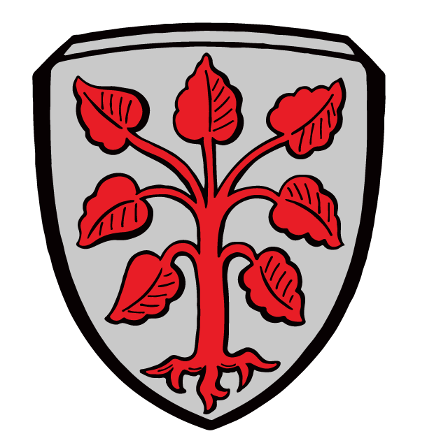 wappen rottenbuch silber